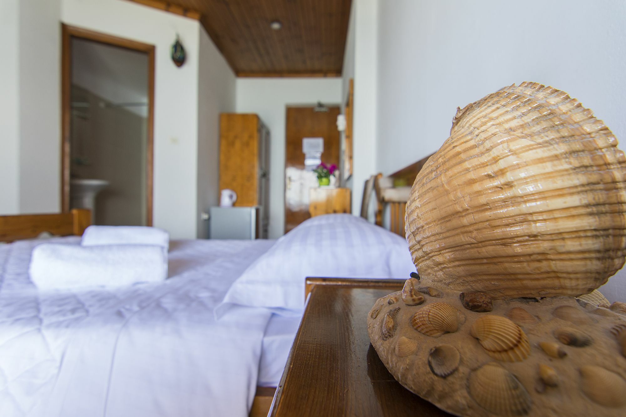Poseidon Apartments 托隆 外观 照片